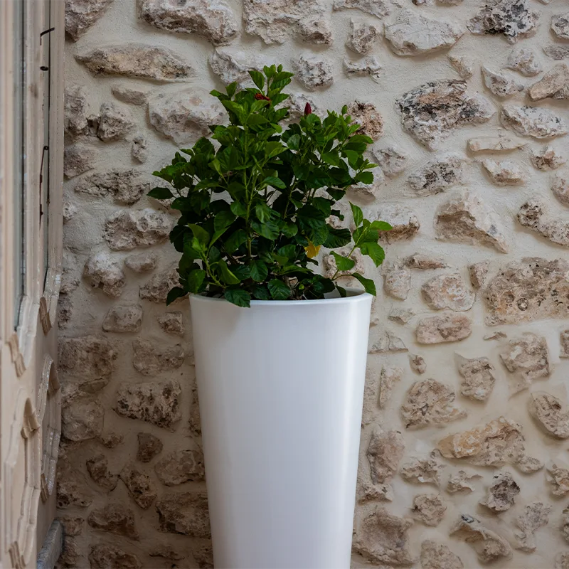 kloris-gotico-portavaso