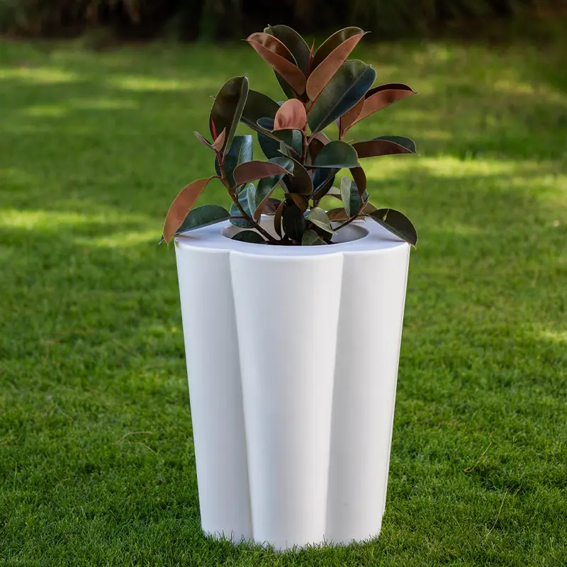 kloris-lulet-portavaso