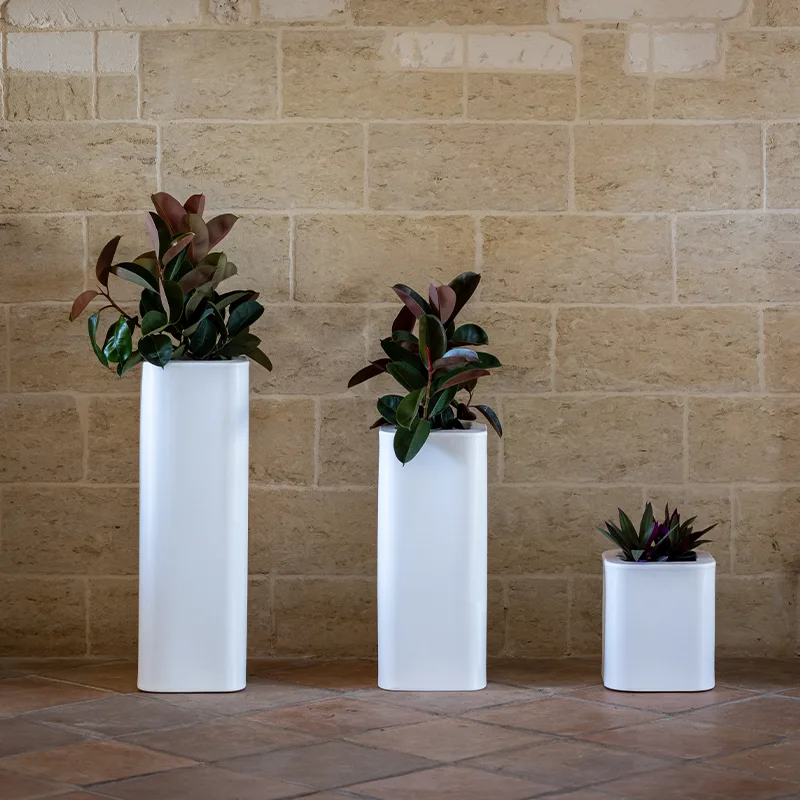 kloris-candy-portavaso