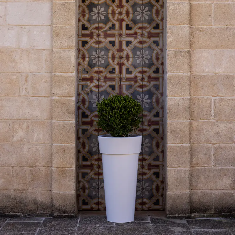 kloris-messapico-portavaso