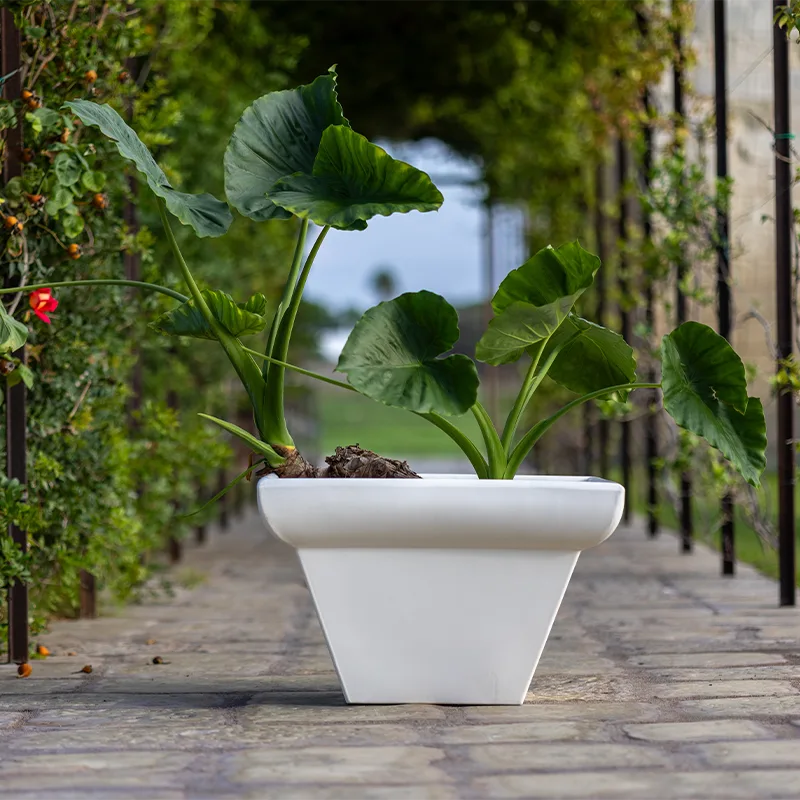 kloris-vittoriano-vaso