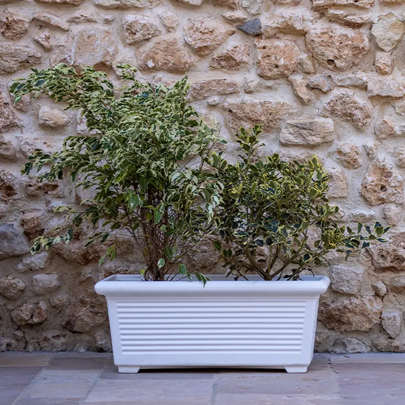 kloris-rettangolare-millerighe-vaso