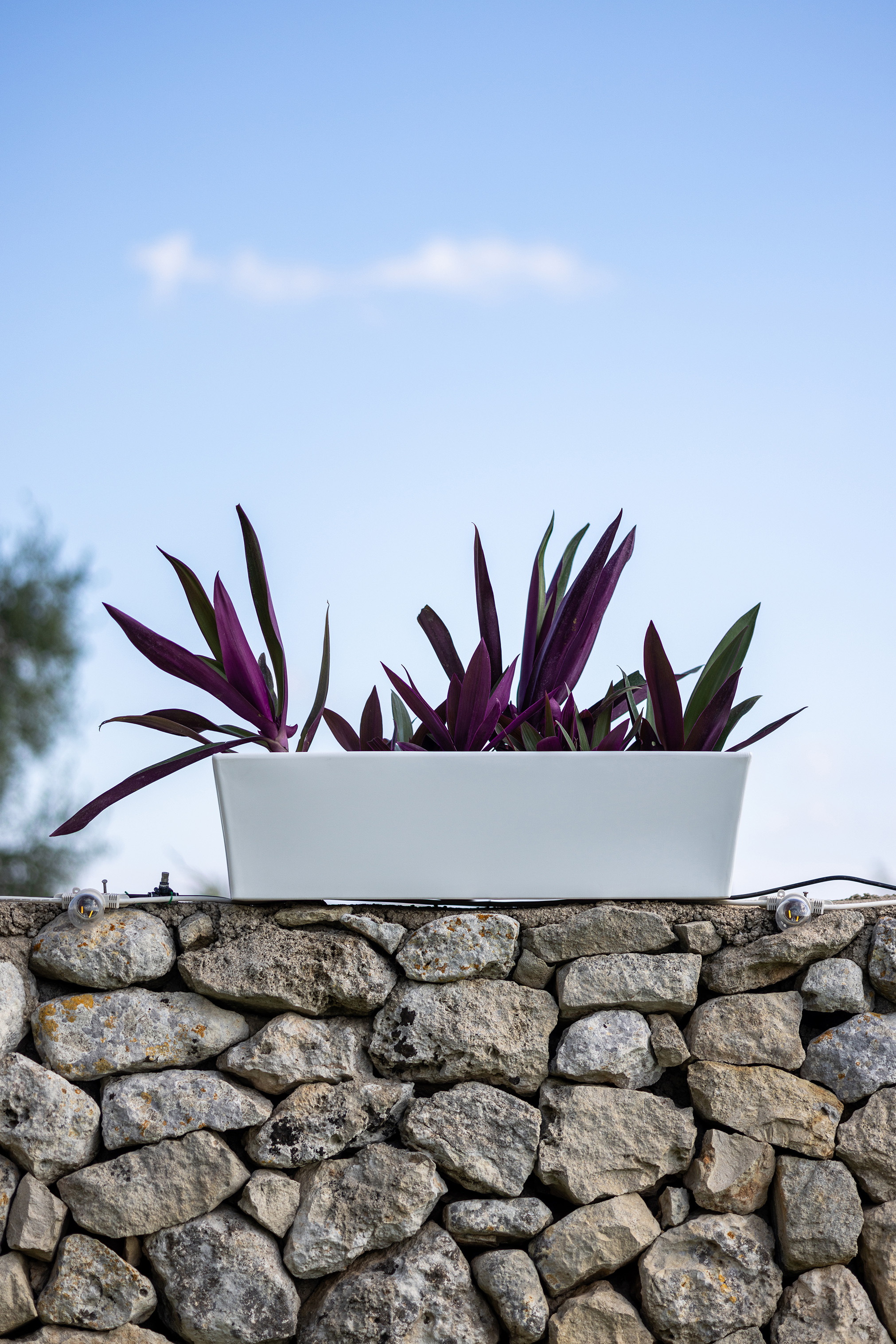 fioriera-rettangolare-esterno-deco-muretto