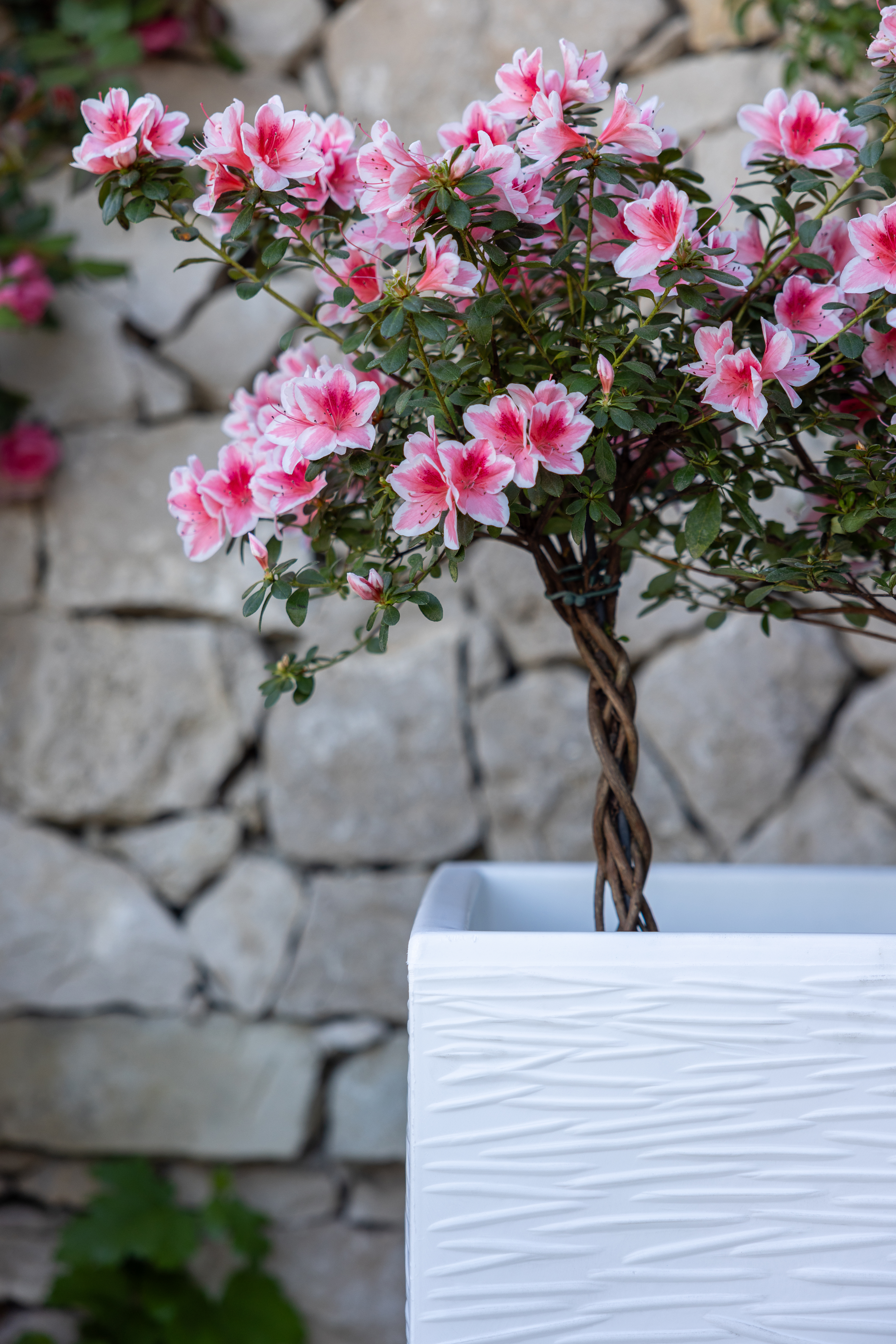 portavaso-quadrato-salentino-rustico-dettaglio