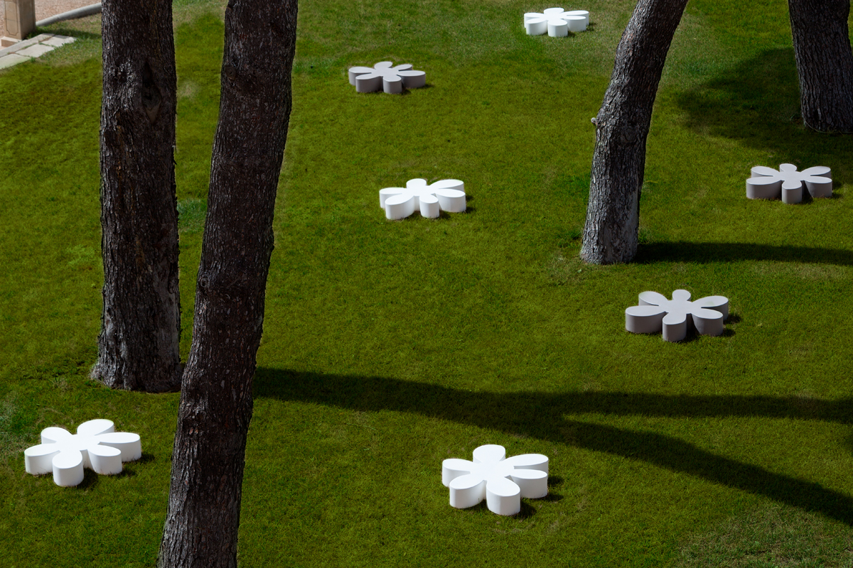 decorazione-giardino-fiore-basso-floris-bianco