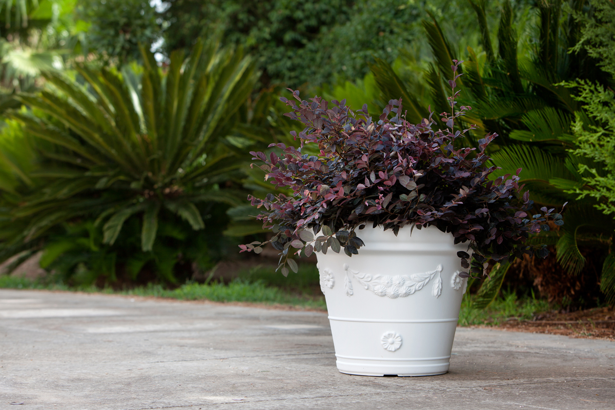 vaso-tondo-festonato-esterno