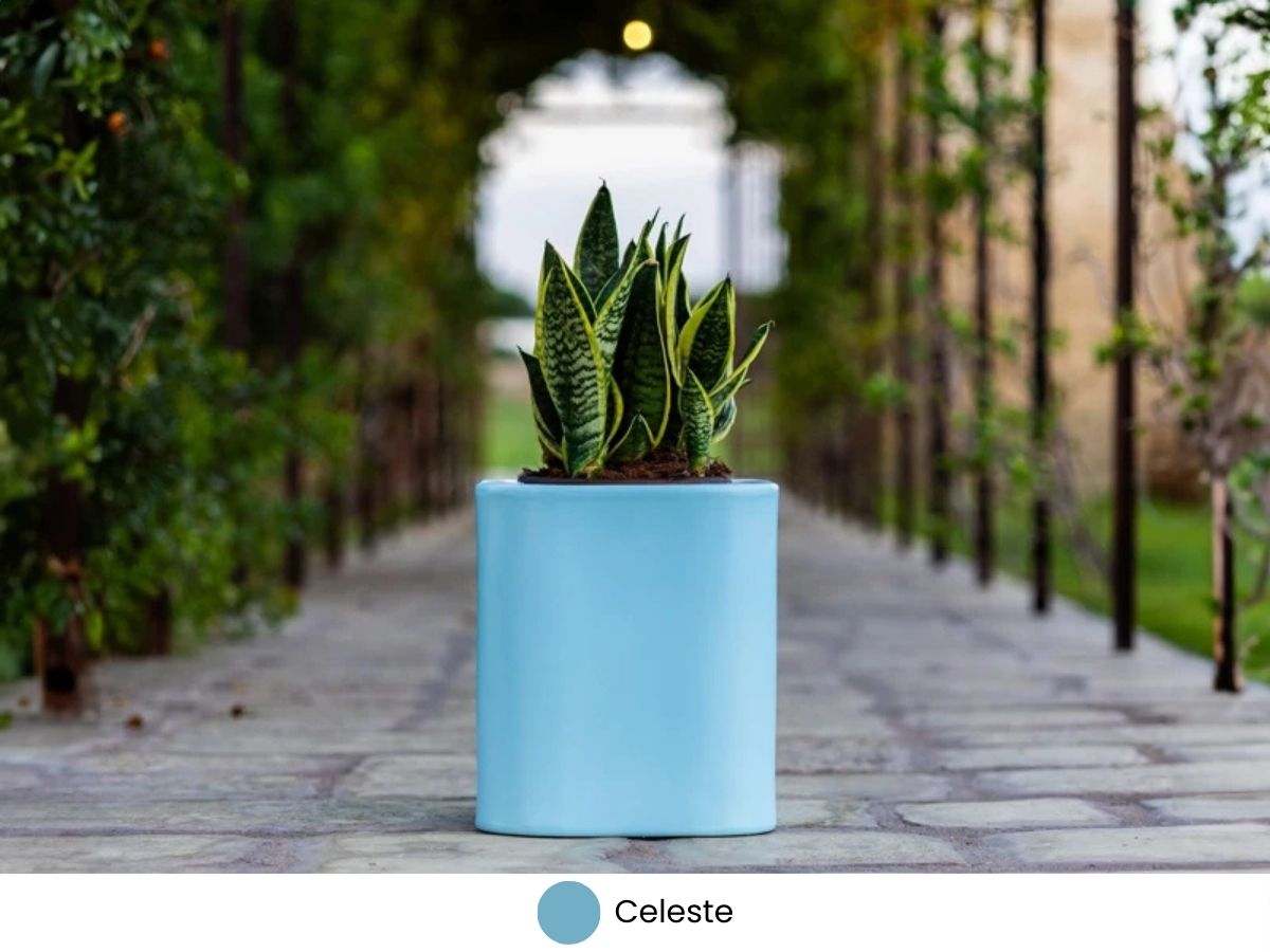 Nuovi colori Kloris - Celeste