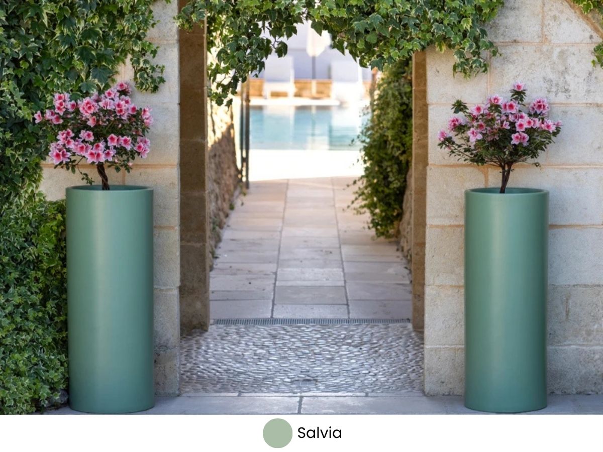 Nuovi colori Kloris - Salvia