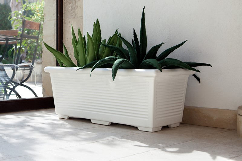 RETTANGOLARE MILLERIGHE 