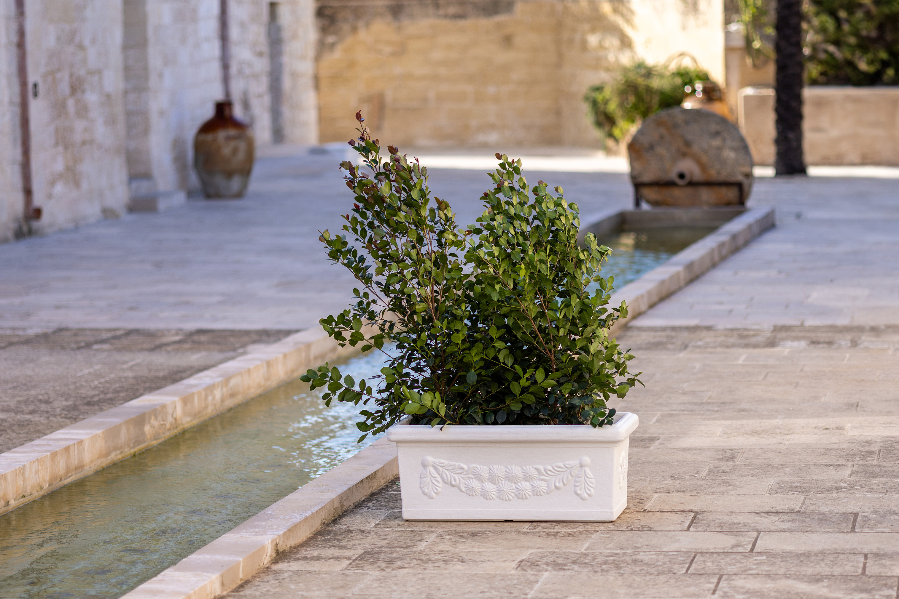 RETTANGOLARE_FESTONATO