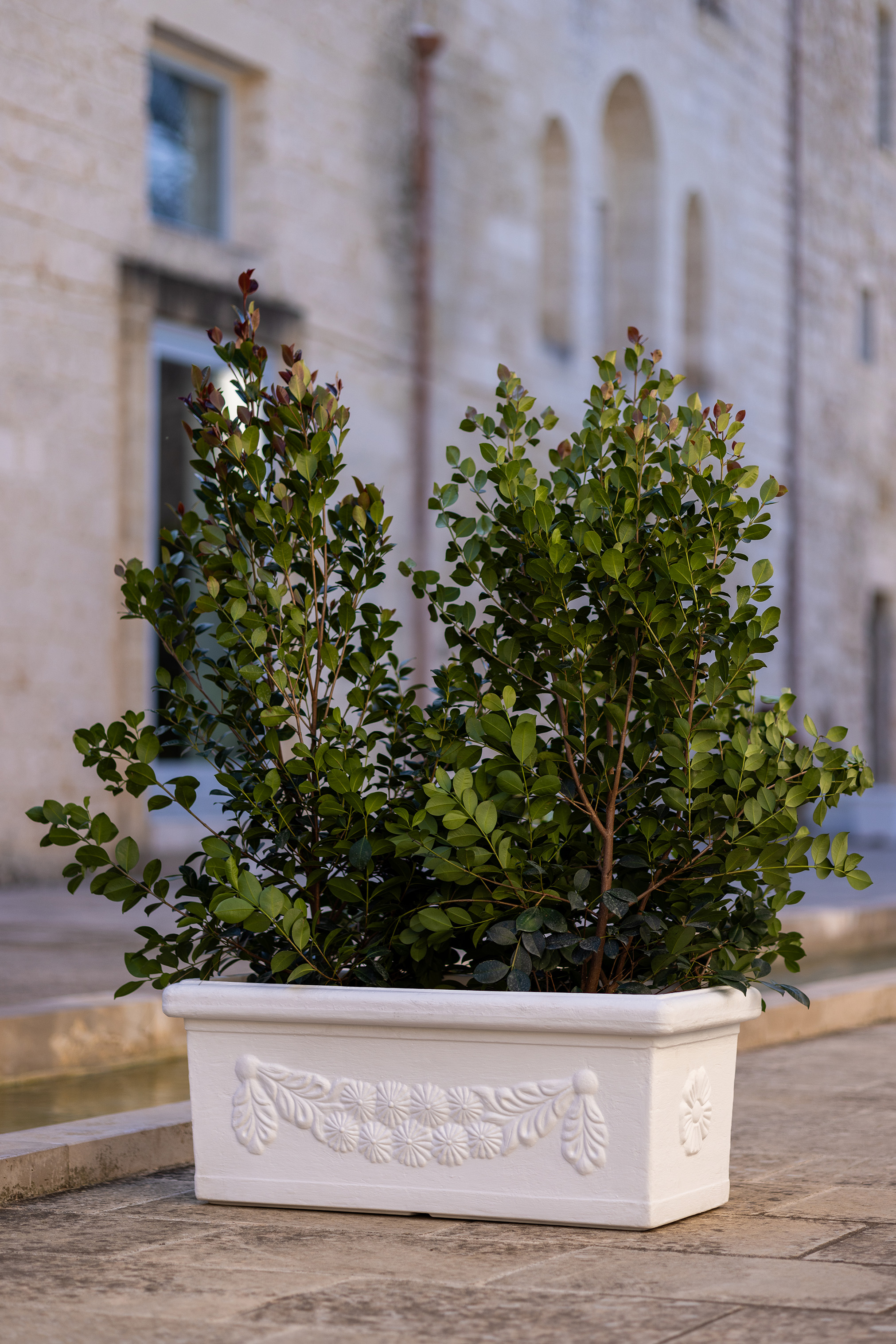 RETTANGOLARE_FESTONATO 1 