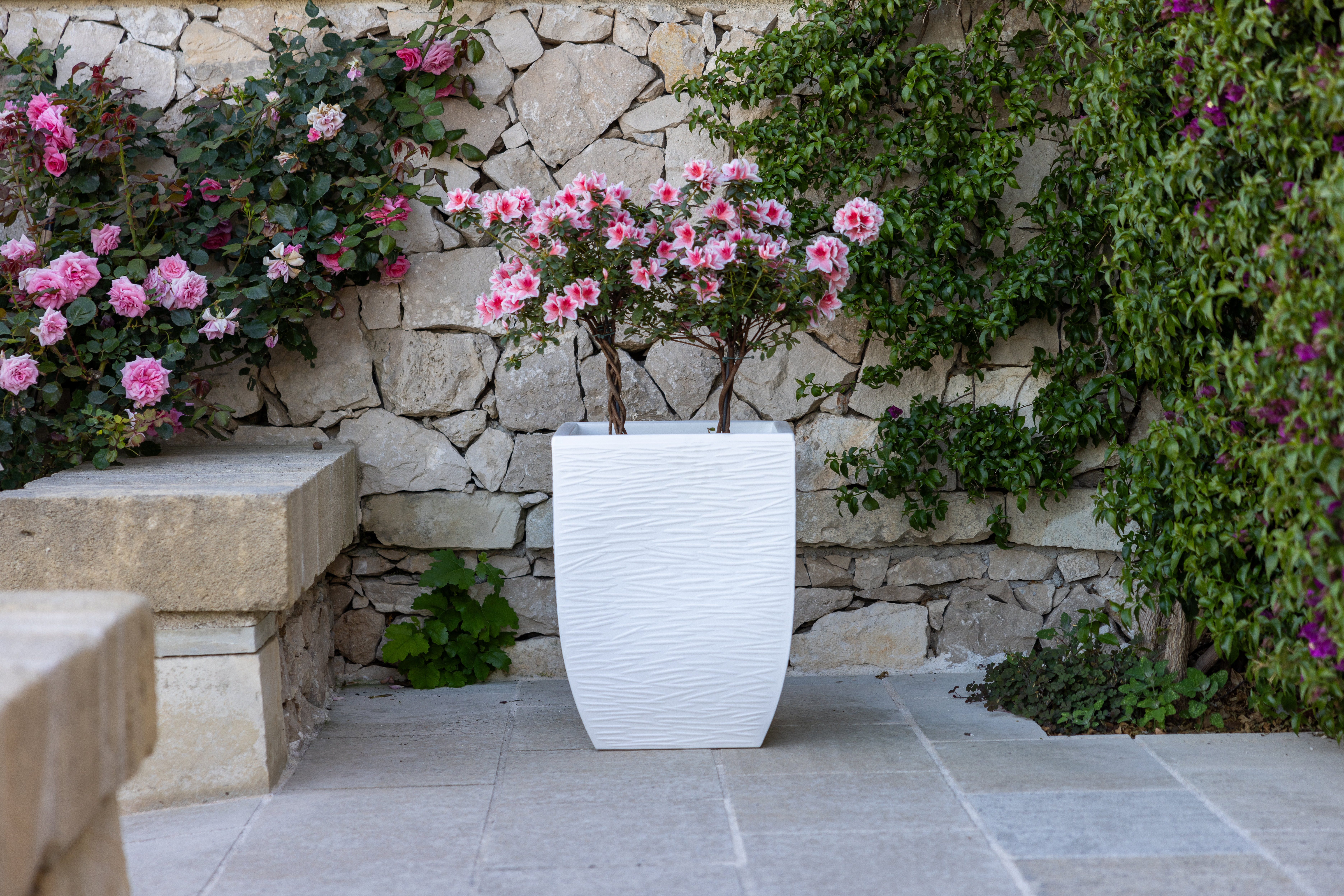 salentino rustico ambient