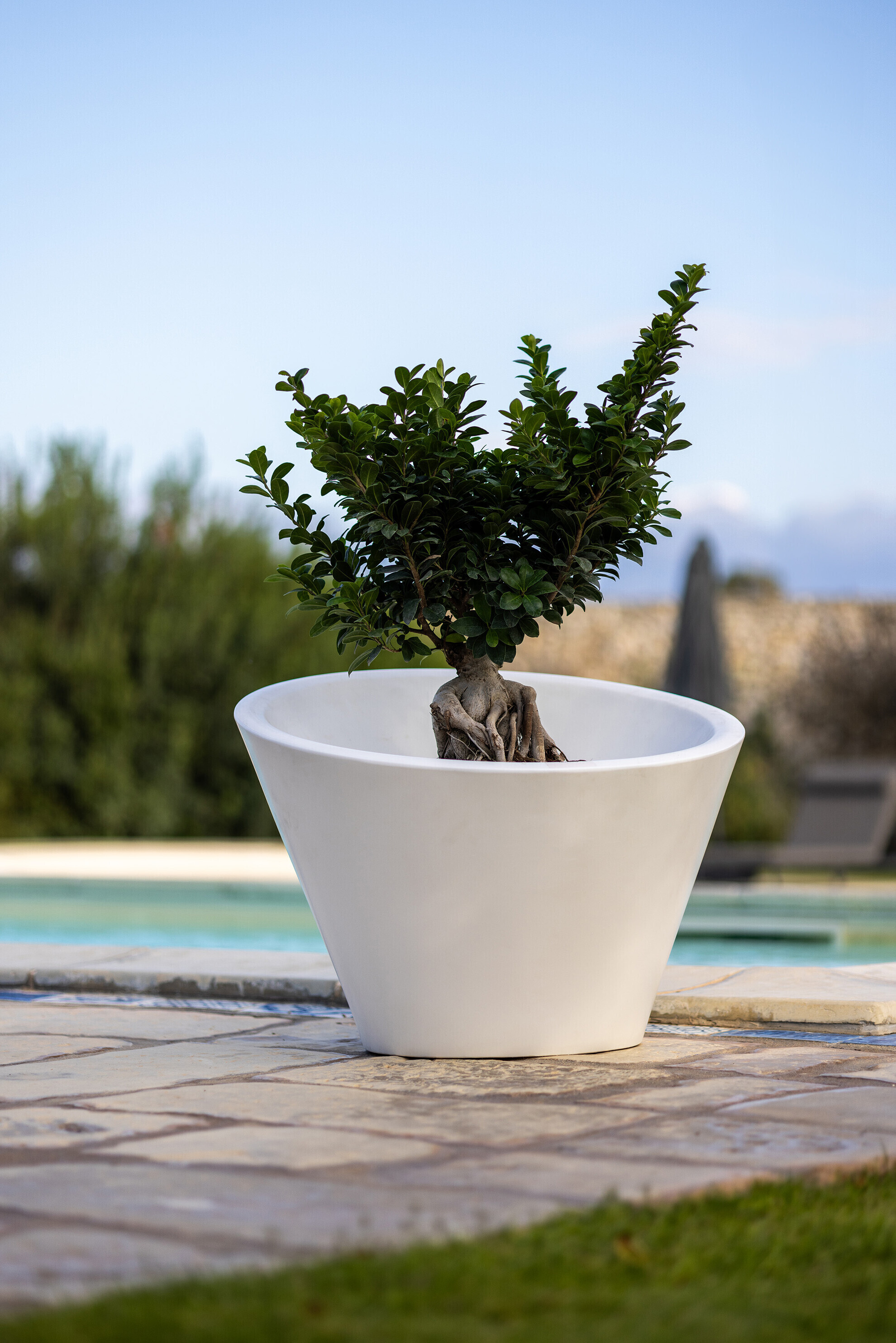 Kloris vaso Dorico bianco