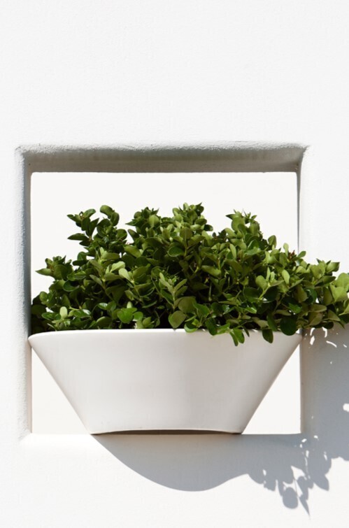Kloris vaso Greco bianco