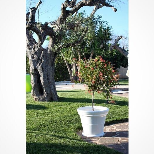Kloris vaso Tondo liscio bianco