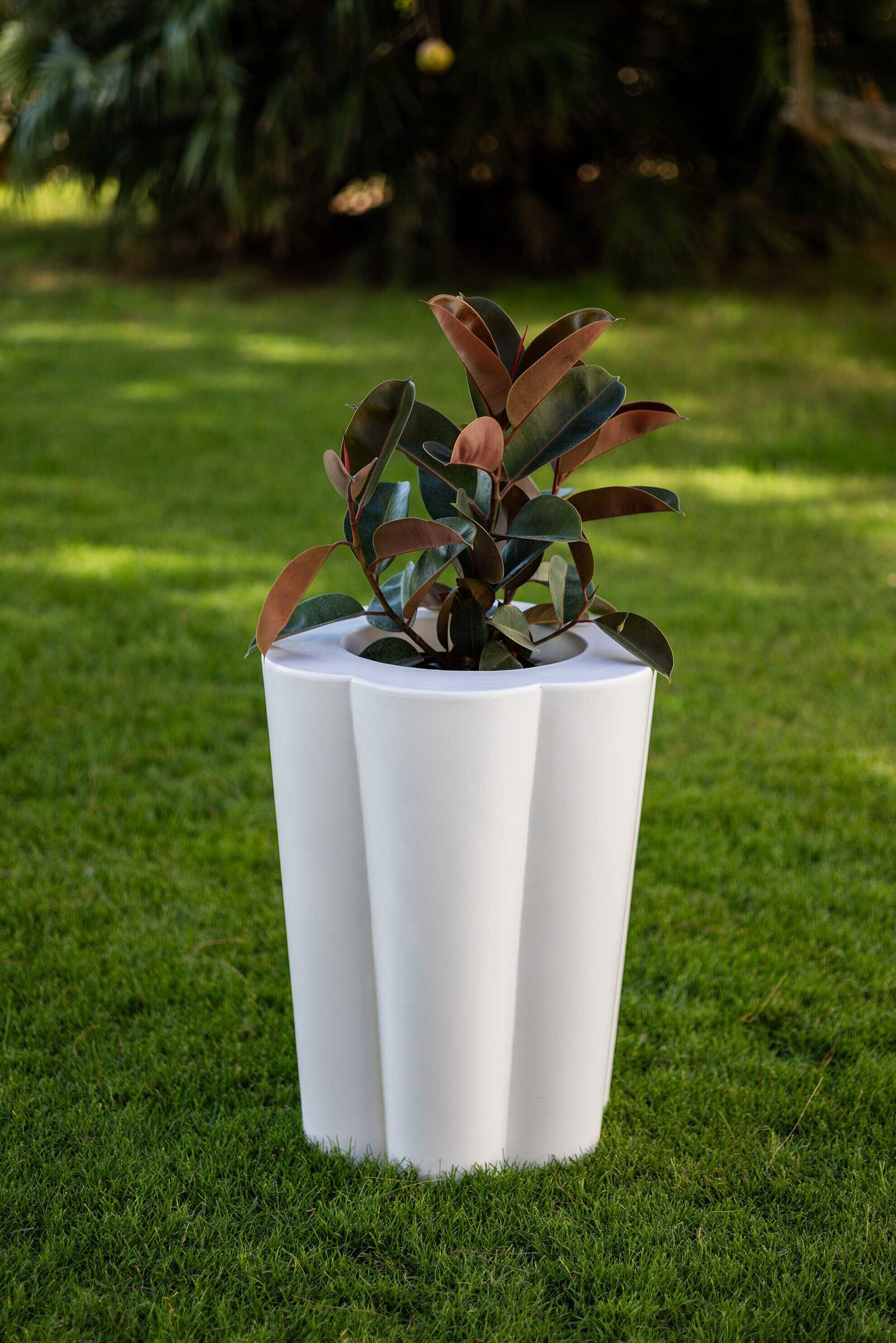 Kloris vaso Lulet bianco