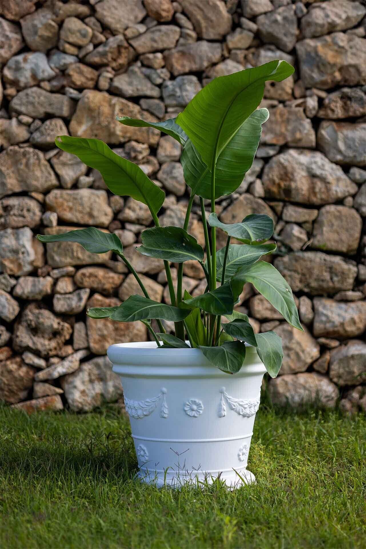 Kloris vaso Tondo festonato bianco