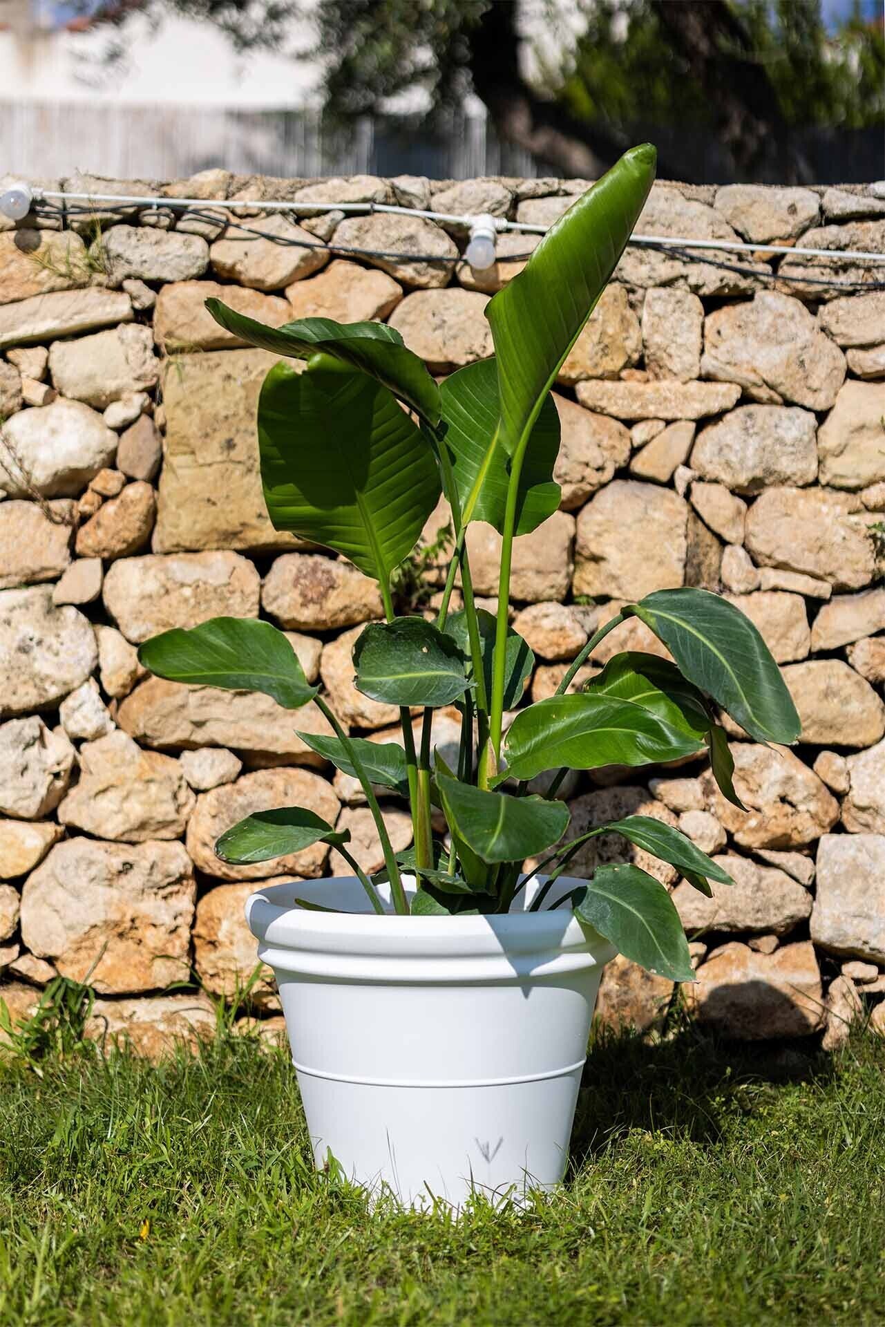 Kloris vaso Tondo liscio bianco
