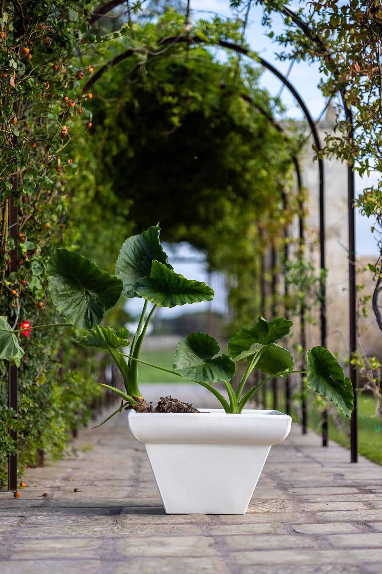 Kloris vaso Vittoriano liscio bianco