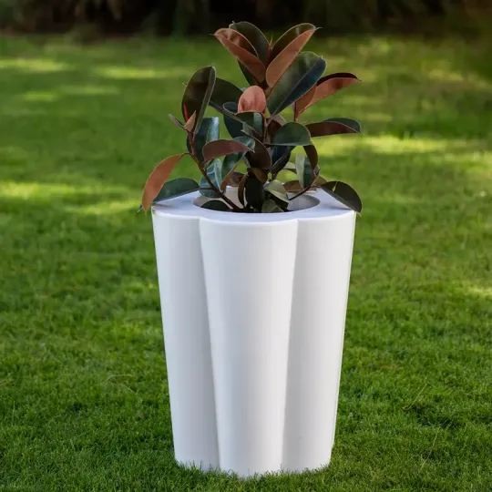 kloris-lulet-portavaso