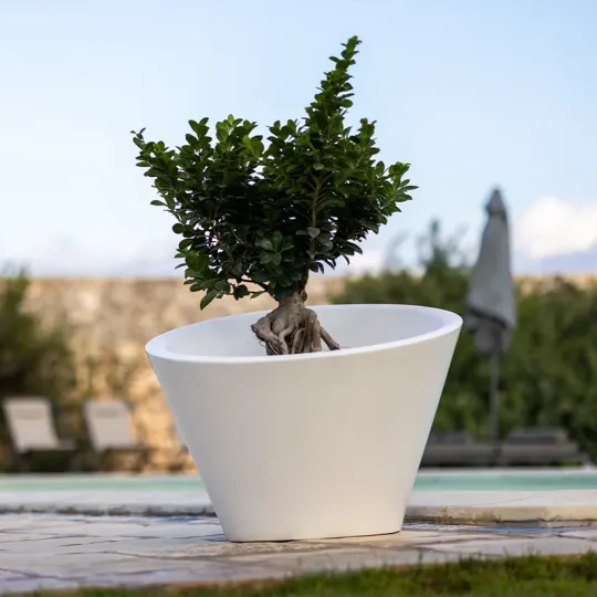 kloris-dorico-portavaso