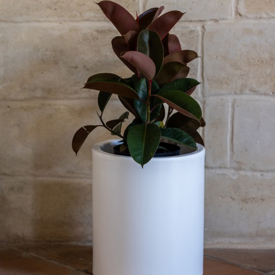 portavaso-cilindrico-barocco-40-interno