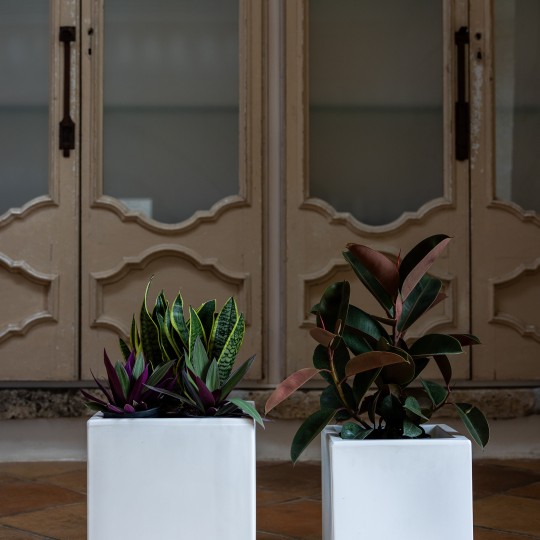 oasi-30-vaso-quadrato-interno