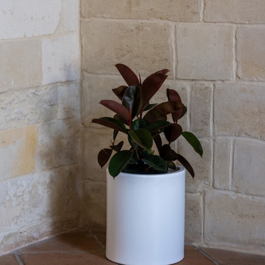 kloris vaso barocco bianco